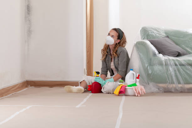 Reliable Mold Remediation contractor in Mukilteo, WA by WQB Mold Removal